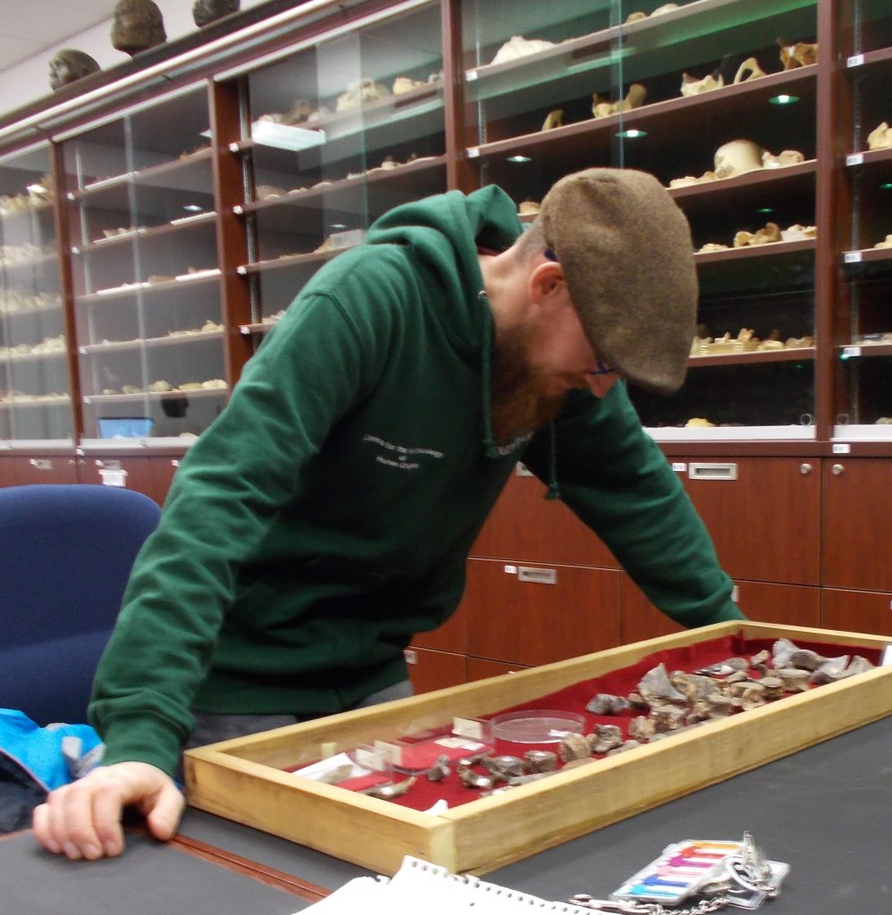 Matt looking at the Sterkfontein hominid collections